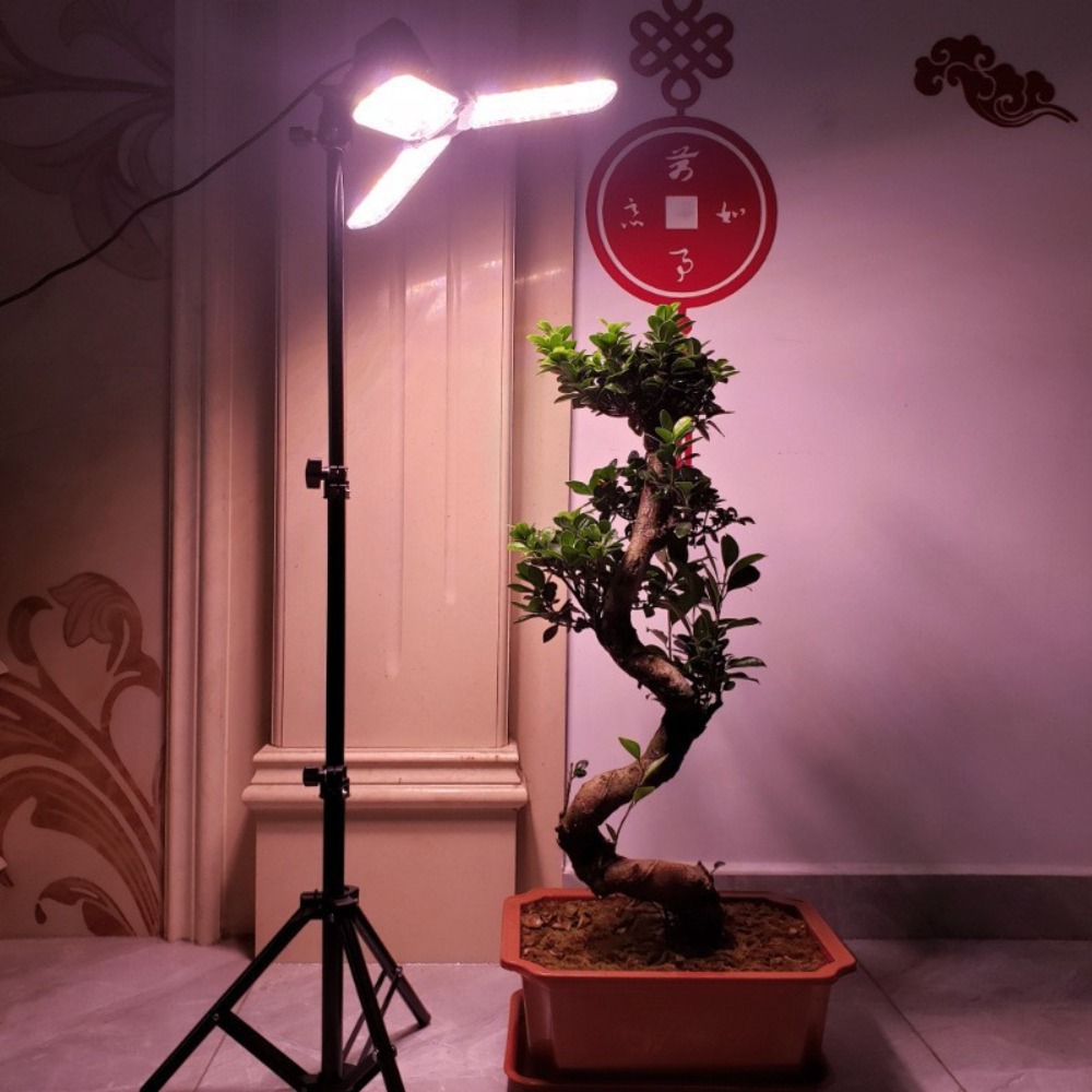 Light Bulb Stand 2M, E27 AC So - Photography Lighting Mount incelemesi ve fiyatı